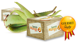 Comprar Mangos